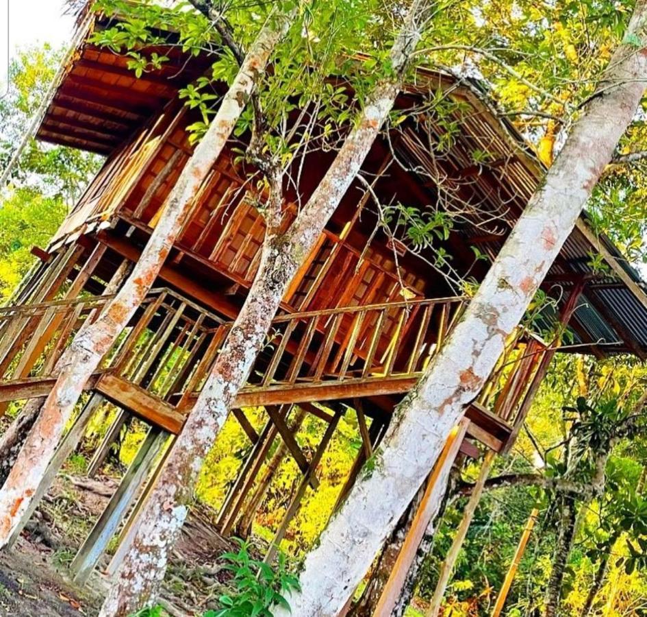 Hotel Karupa Amazonas Λετίσια Εξωτερικό φωτογραφία