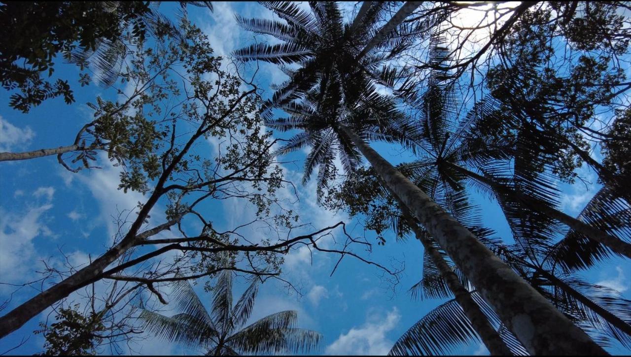 Hotel Karupa Amazonas Λετίσια Εξωτερικό φωτογραφία